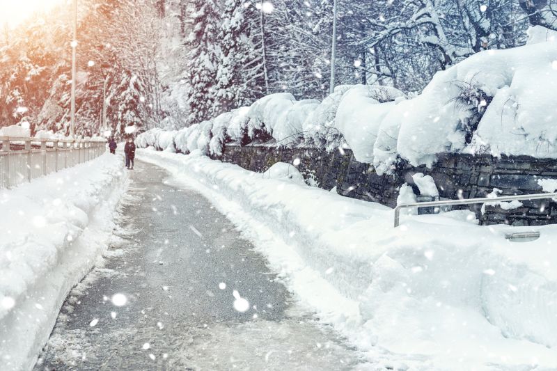 Snow Removal Service