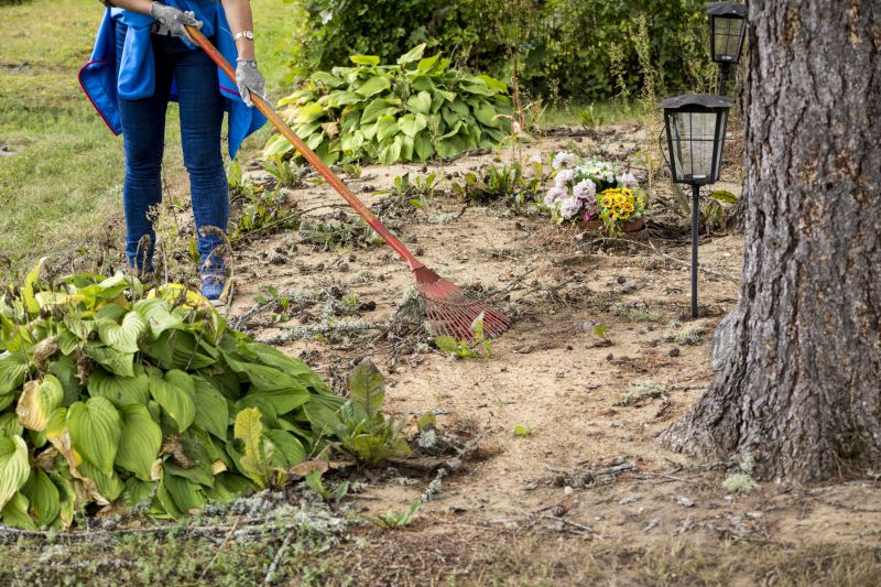 Snow Clearing Service
