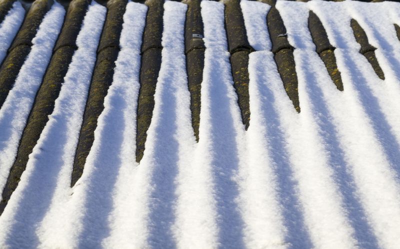 Snow Guard Installation