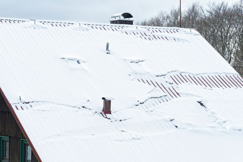 Snow Guard on Metal Roof